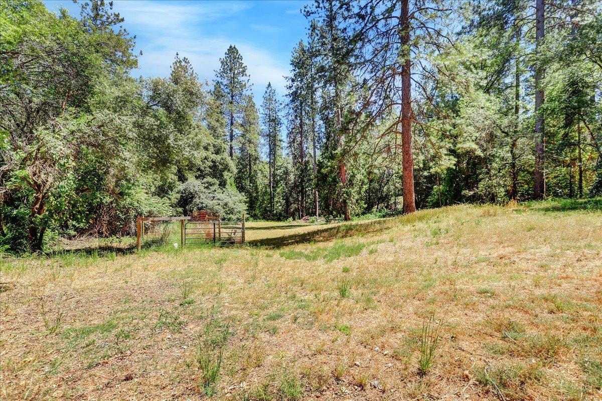 Detail Gallery Image 61 of 95 For 16357 Indian Flat Rd, Nevada City,  CA 95959 - 3 Beds | 3 Baths