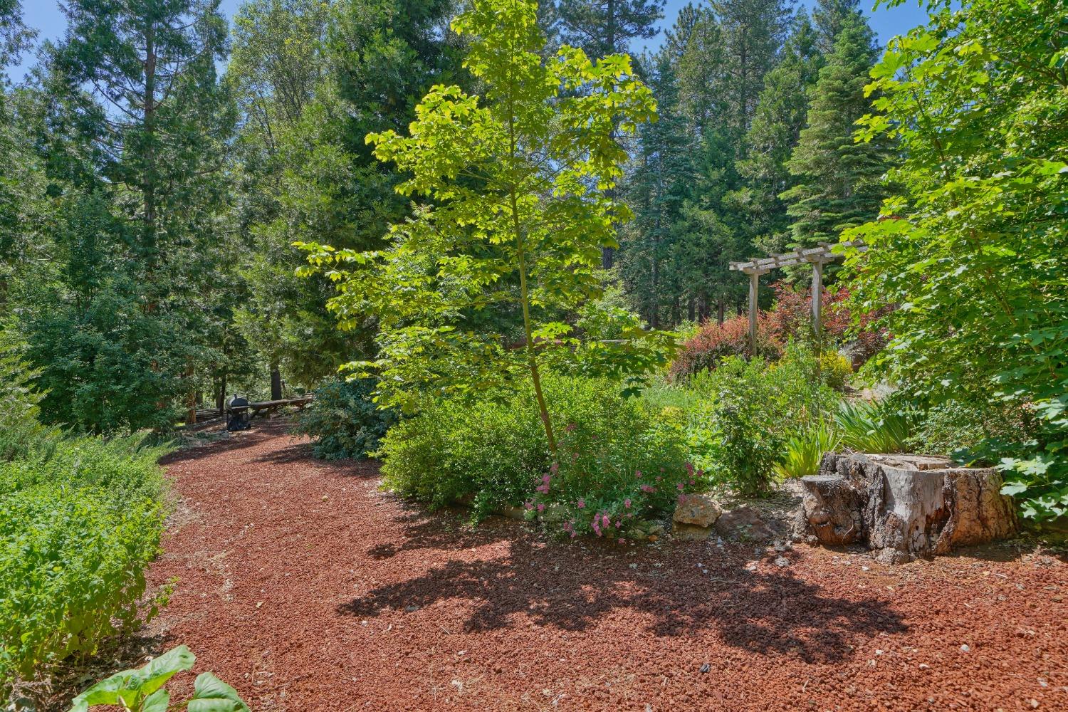 Detail Gallery Image 56 of 67 For 5360 Robert Rd, Pollock Pines,  CA 95726 - 2 Beds | 1/2 Baths