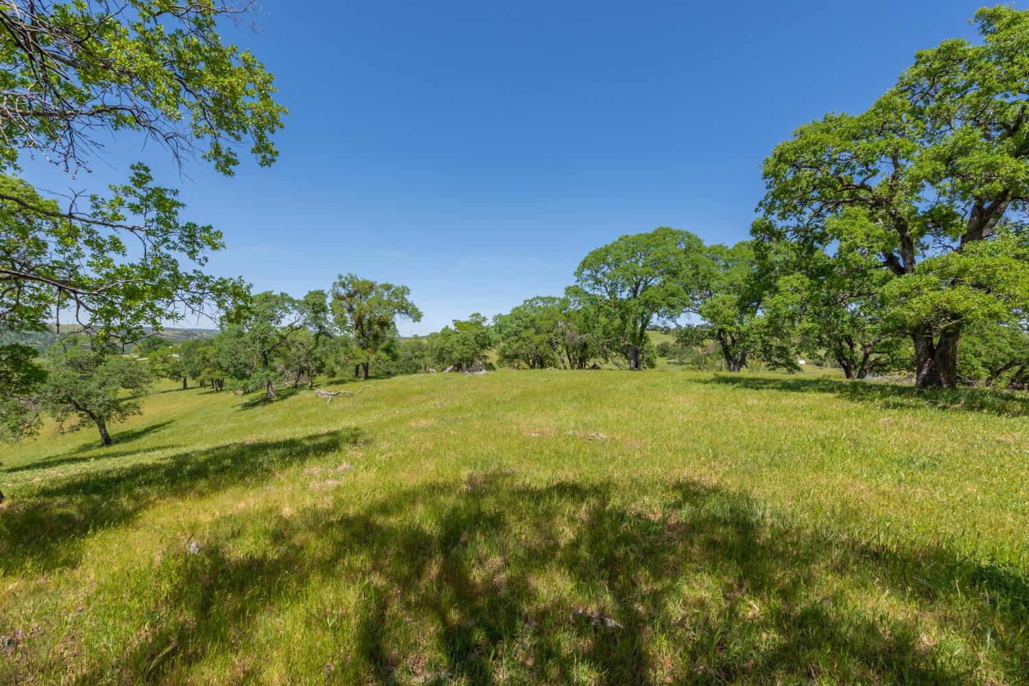 Detail Gallery Image 7 of 50 For 9840 New Chicago Rd, Drytown,  CA 95699 - 3 Beds | 4 Baths