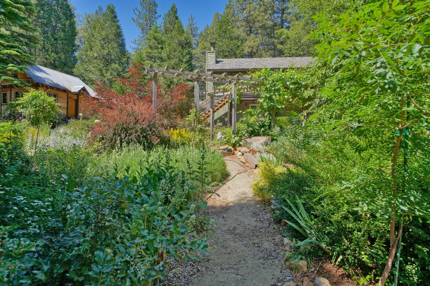 Detail Gallery Image 57 of 67 For 5360 Robert Rd, Pollock Pines,  CA 95726 - 2 Beds | 1/2 Baths