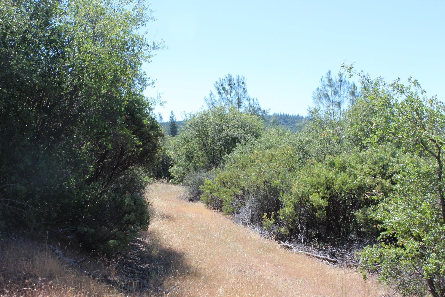 Frenchtown Dobbins Rd, Dobbins, California image 5