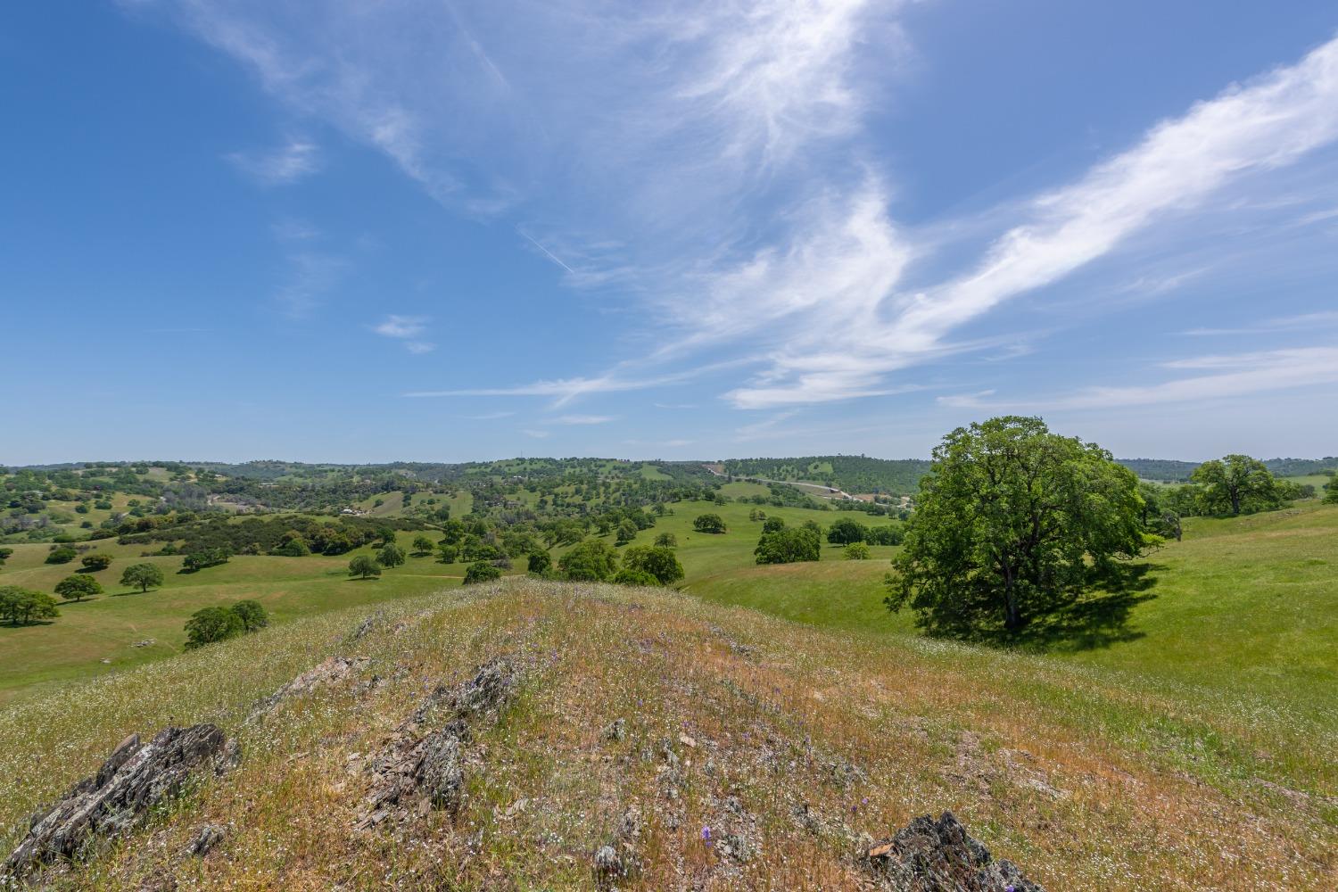 Detail Gallery Image 13 of 50 For 9840 New Chicago Rd, Drytown,  CA 95699 - 3 Beds | 4 Baths