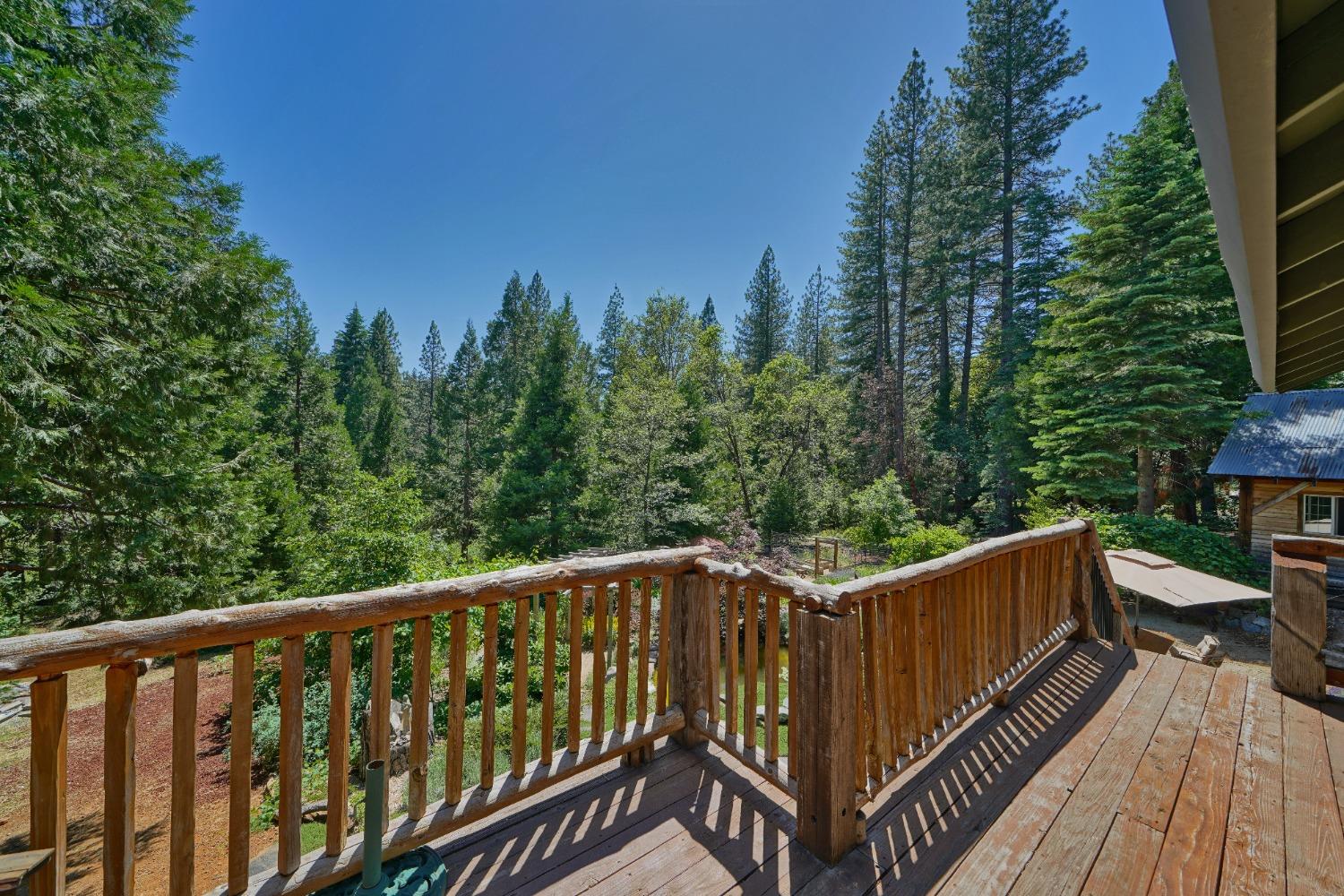 Detail Gallery Image 37 of 67 For 5360 Robert Rd, Pollock Pines,  CA 95726 - 2 Beds | 1/2 Baths