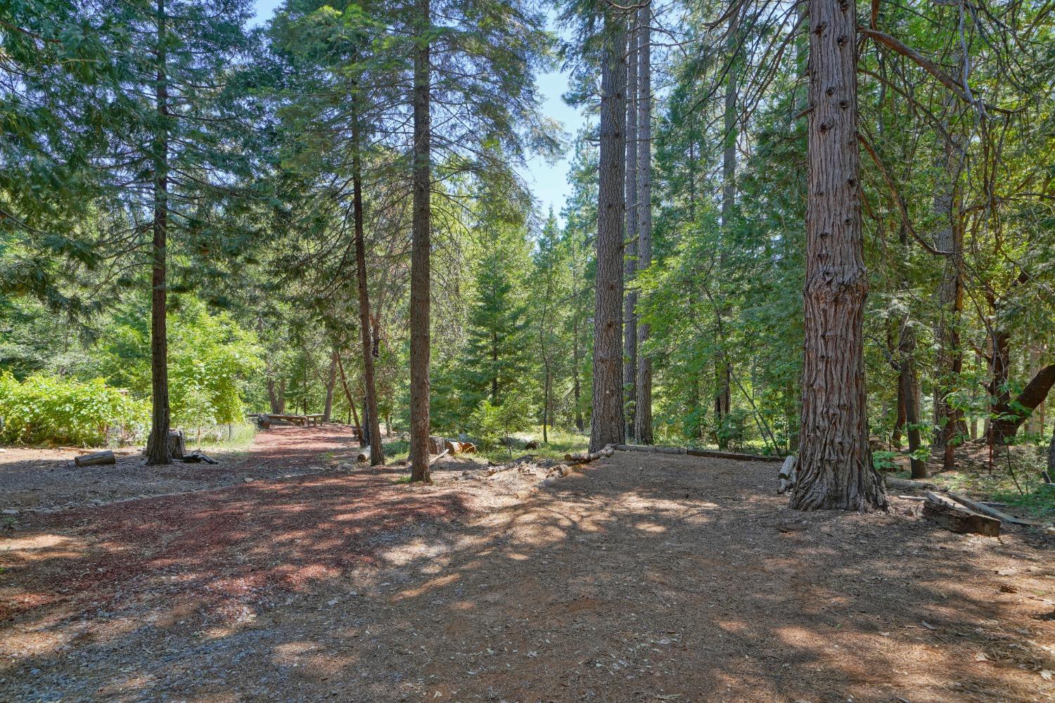 Detail Gallery Image 48 of 67 For 5360 Robert Rd, Pollock Pines,  CA 95726 - 2 Beds | 1/2 Baths