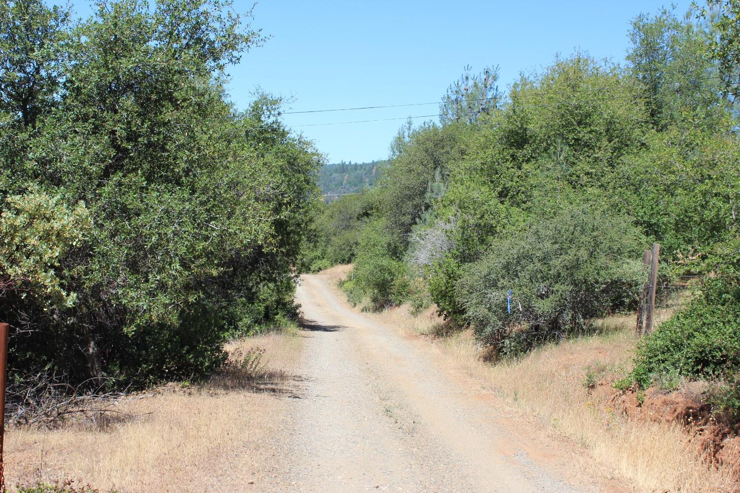 Frenchtown Dobbins Rd, Dobbins, California image 7