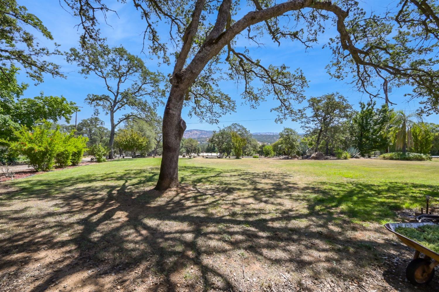 Detail Gallery Image 87 of 89 For 12708 Lone Tree Way, Marysville,  CA 95901 - 8 Beds | 3/1 Baths