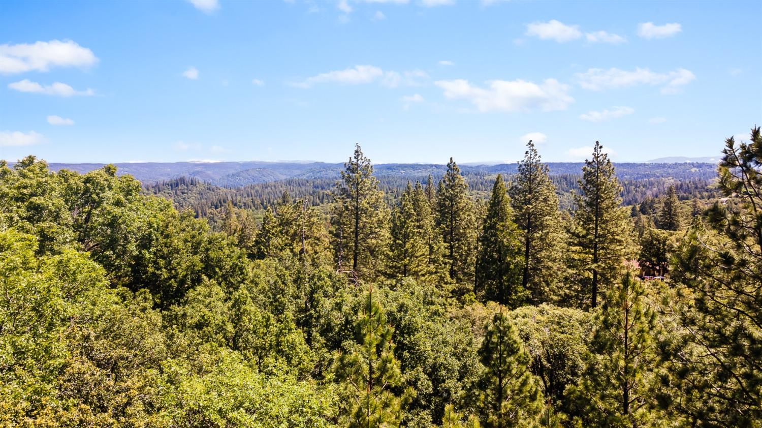 Leona Lane, Pine Grove, California image 34