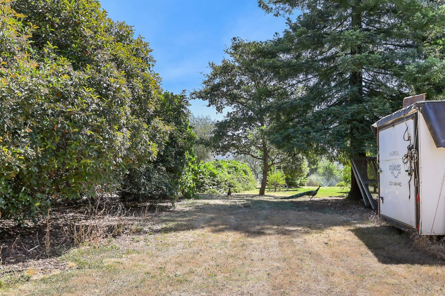 Detail Gallery Image 78 of 89 For 12708 Lone Tree Way, Marysville,  CA 95901 - 8 Beds | 3/1 Baths