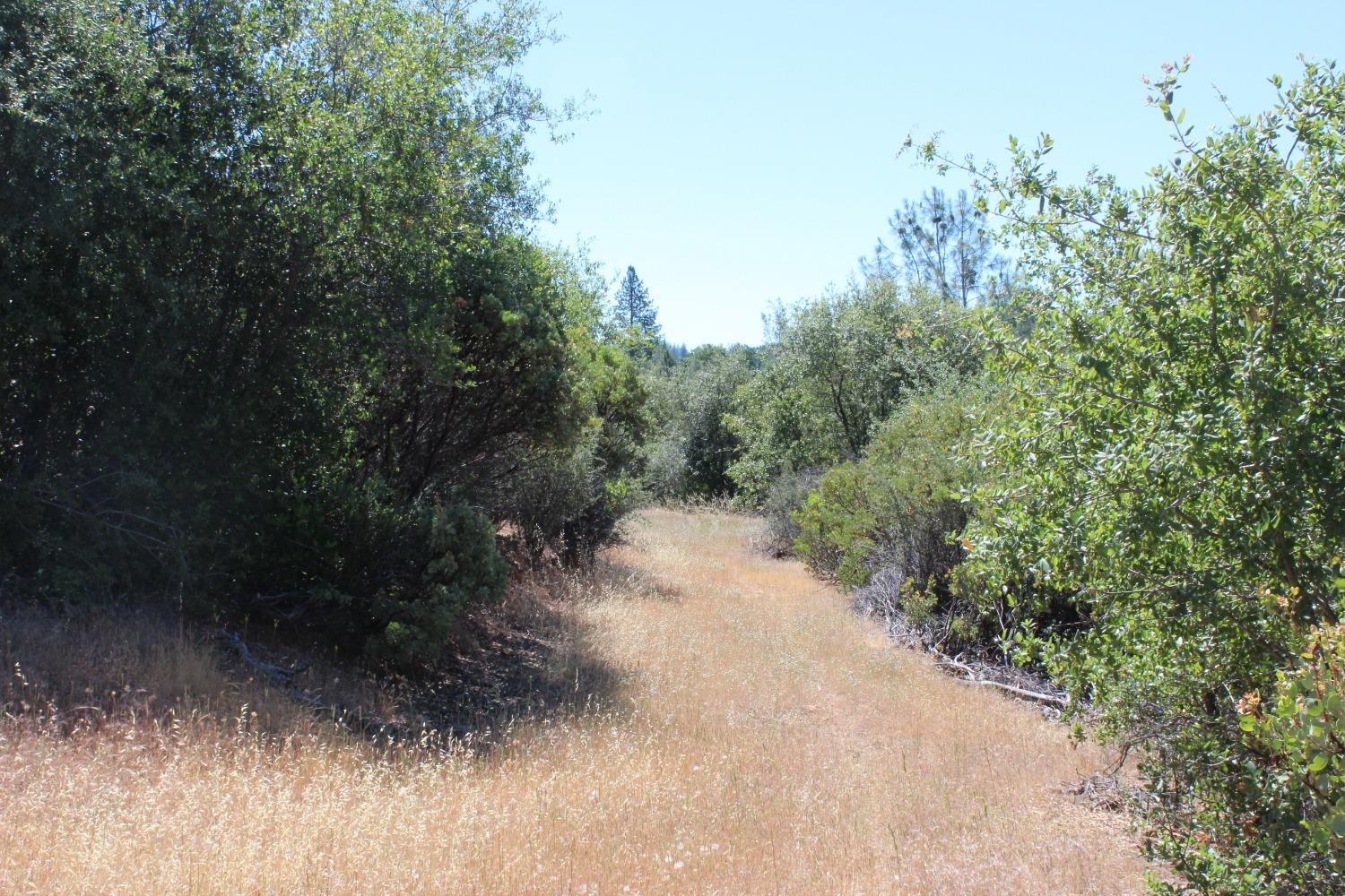 Frenchtown Dobbins Rd, Dobbins, California image 4