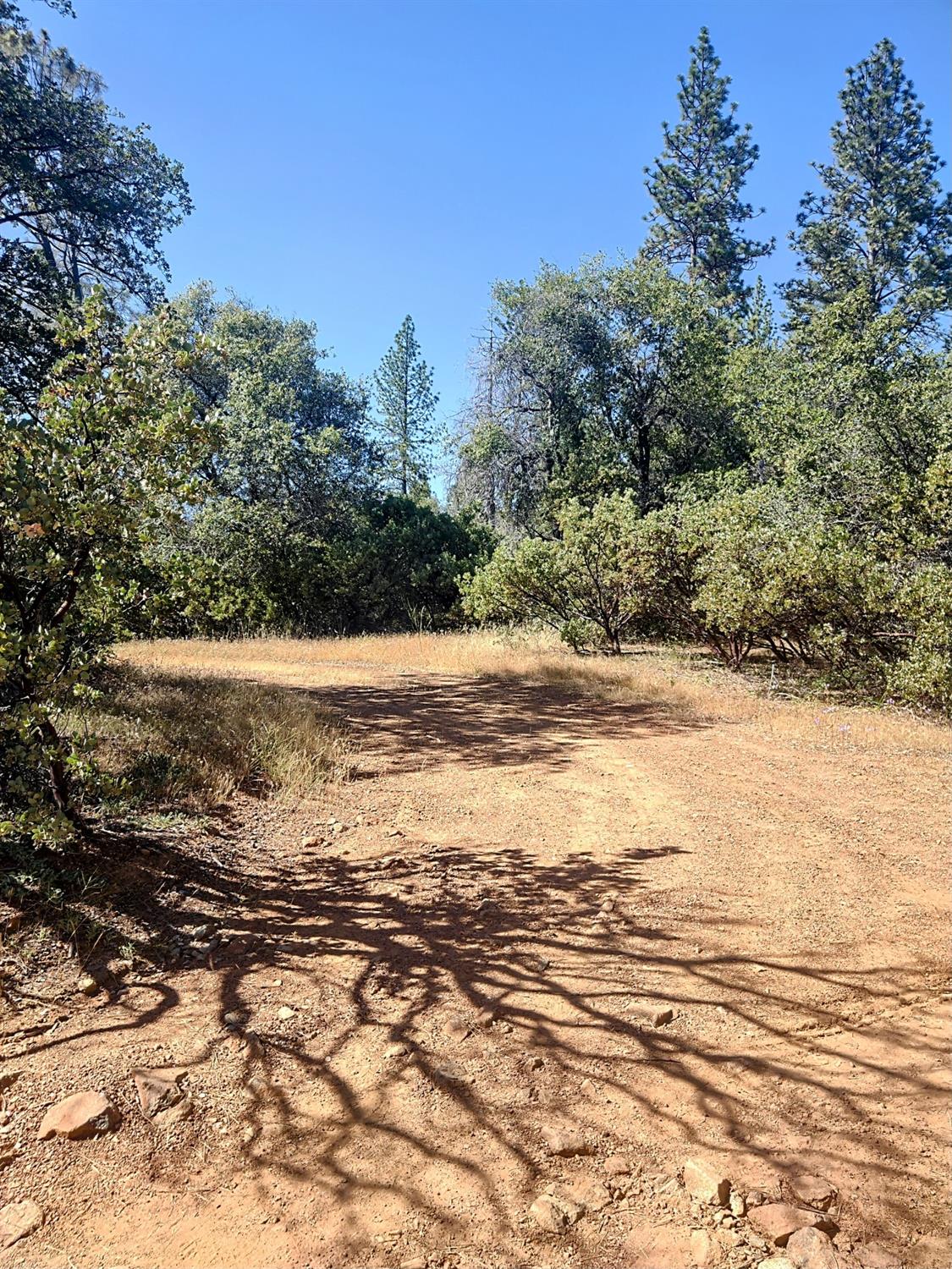 Hilory Lane, Dobbins, California image 17