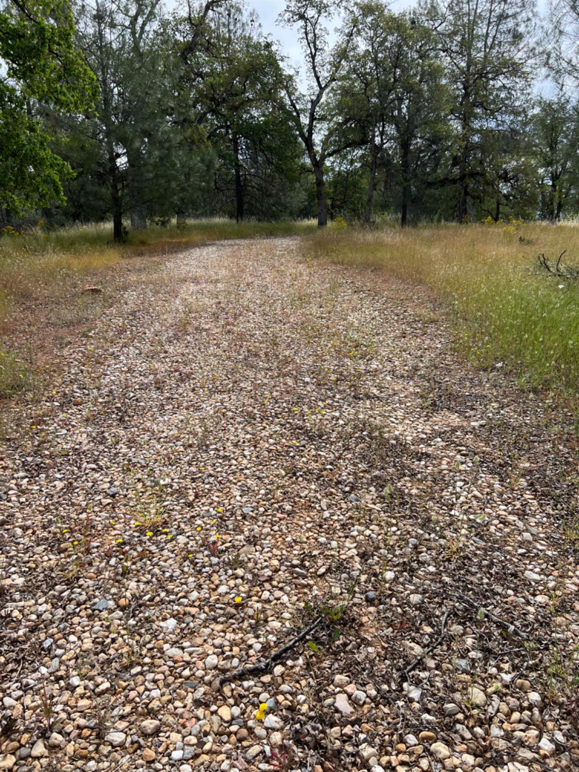 Oak Ridge Road, Mountain Ranch, California image 18