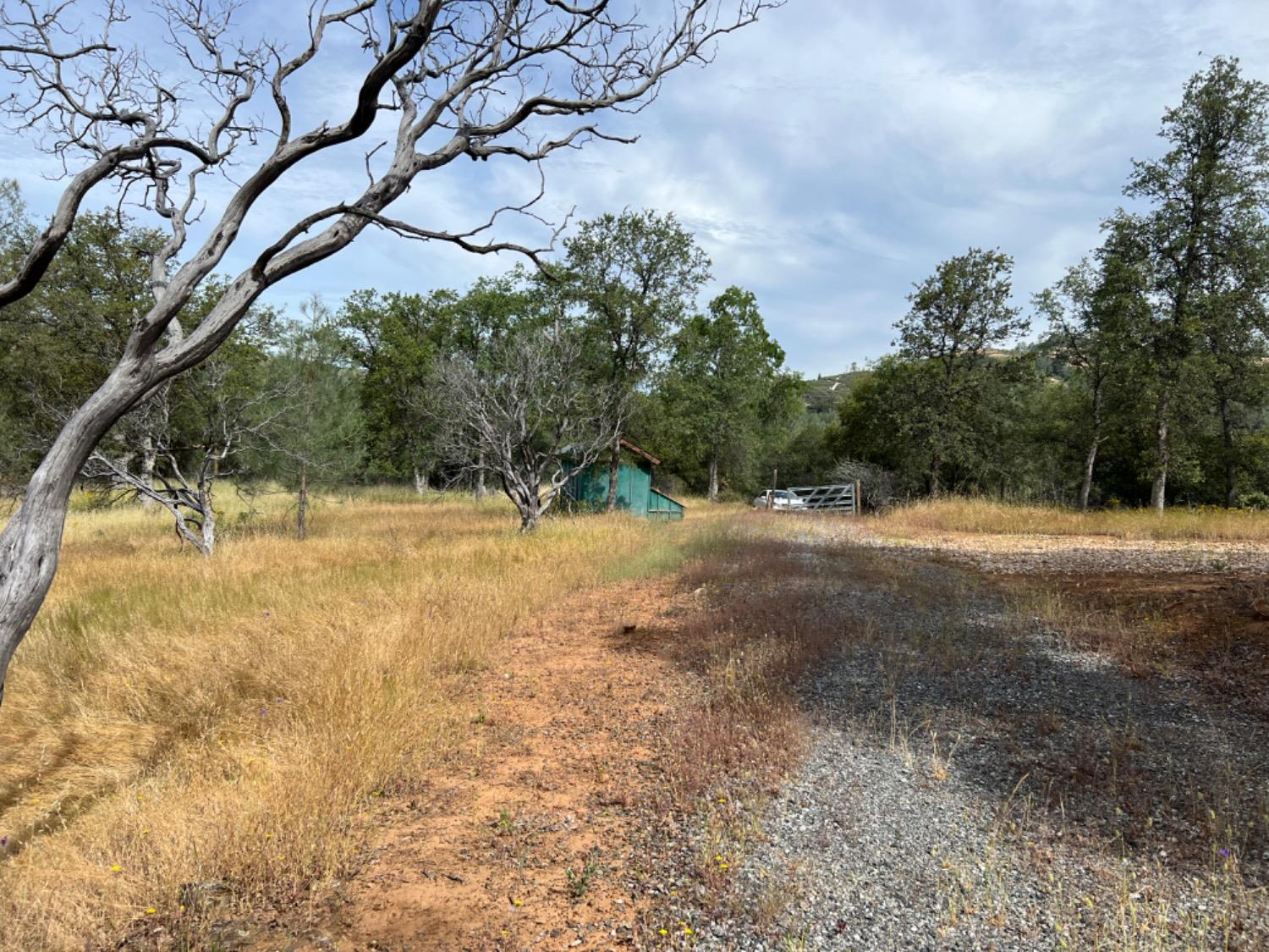 Oak Ridge Road, Mountain Ranch, California image 7