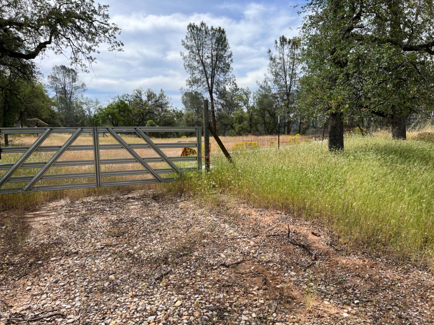 Oak Ridge Road, Mountain Ranch, California image 19