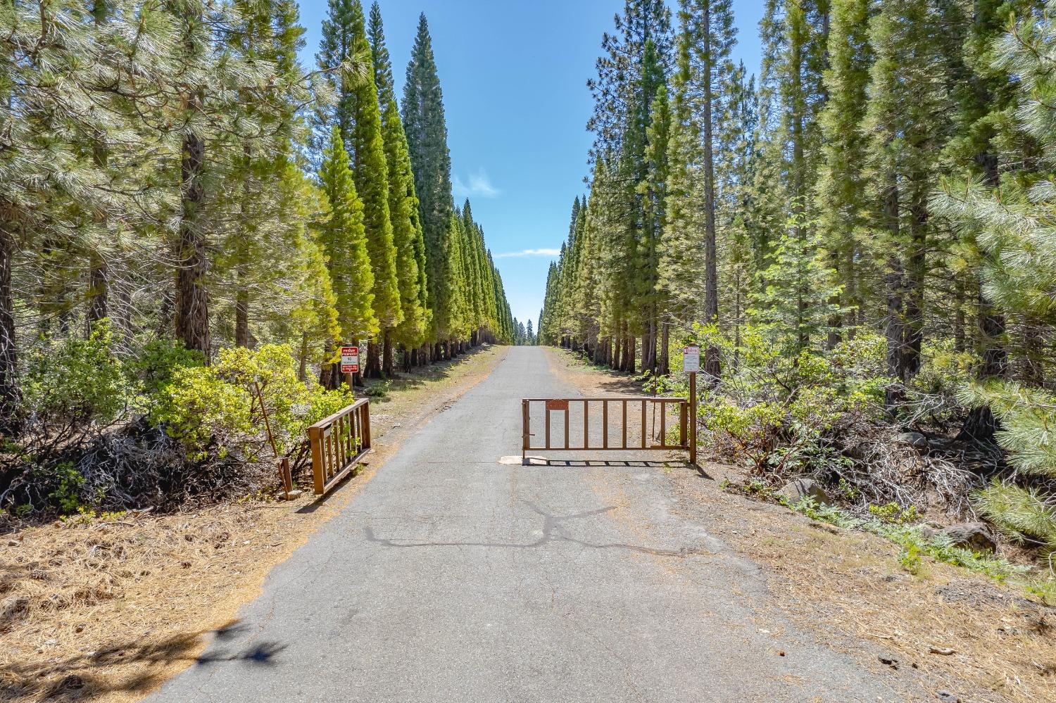 Detail Gallery Image 47 of 77 For 6460 Hidden Treasure Rd, Foresthill,  CA 95631 - 3 Beds | 4/1 Baths