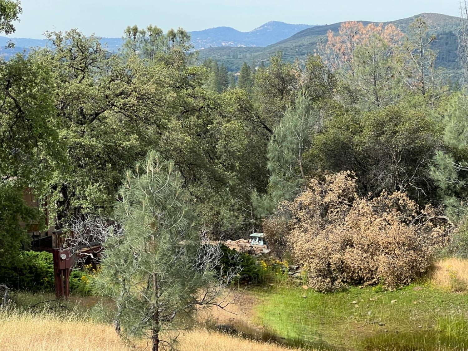 Oak Ridge Road, Mountain Ranch, California image 3