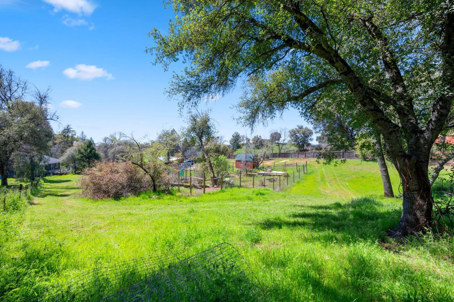 Flat Gulch Road, Mokelumne Hill, California image 14