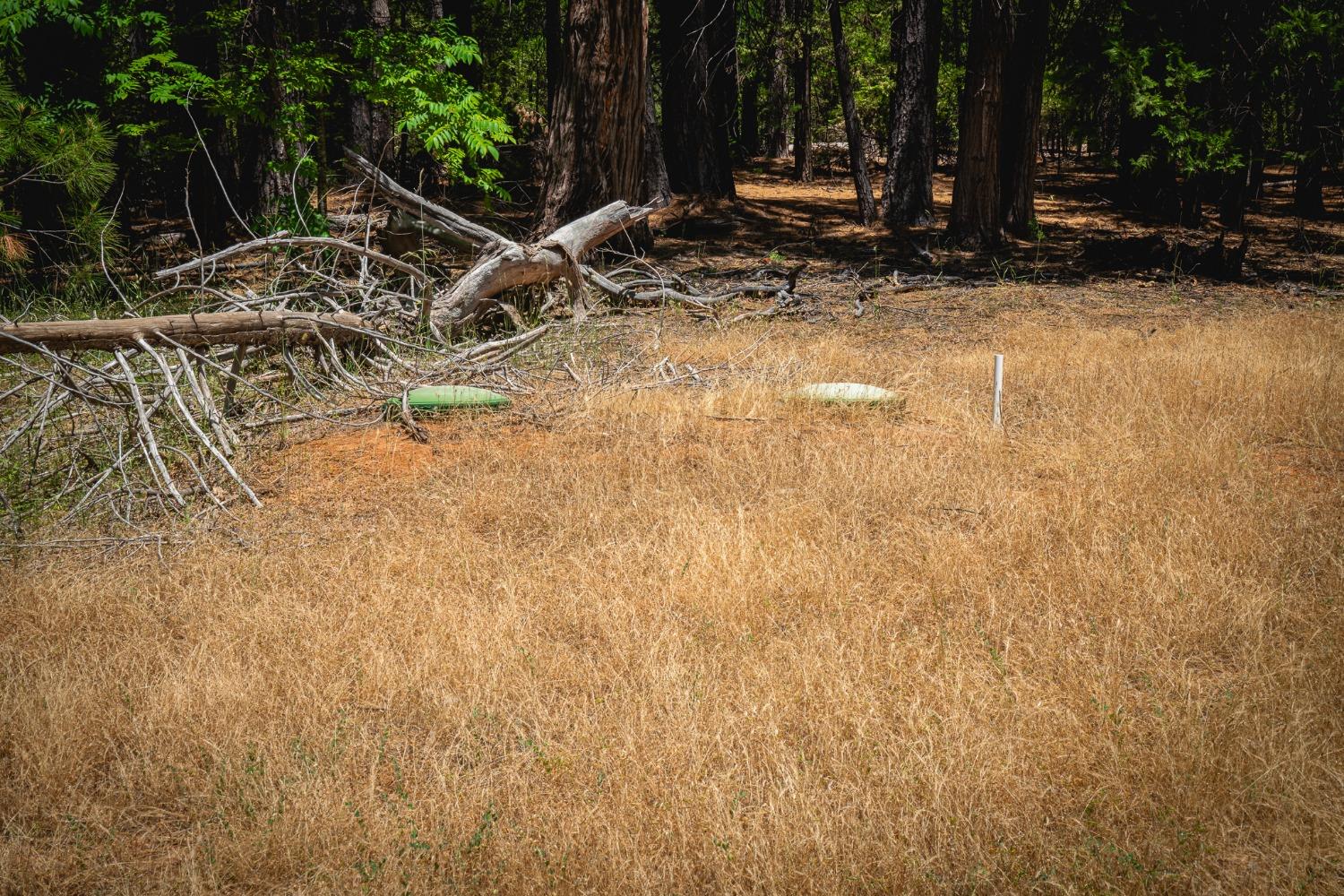 Hill Road, Pioneer, California image 8