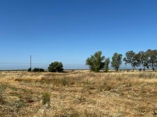 Palermo Honcut Hwy, Oroville, California image 9