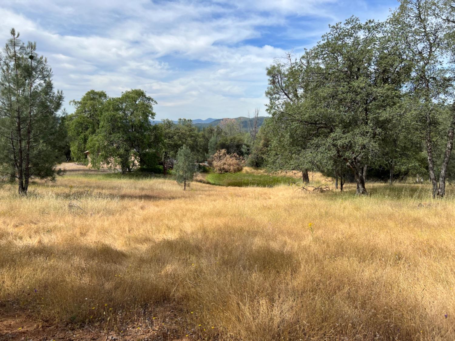 Oak Ridge Road, Mountain Ranch, California image 5