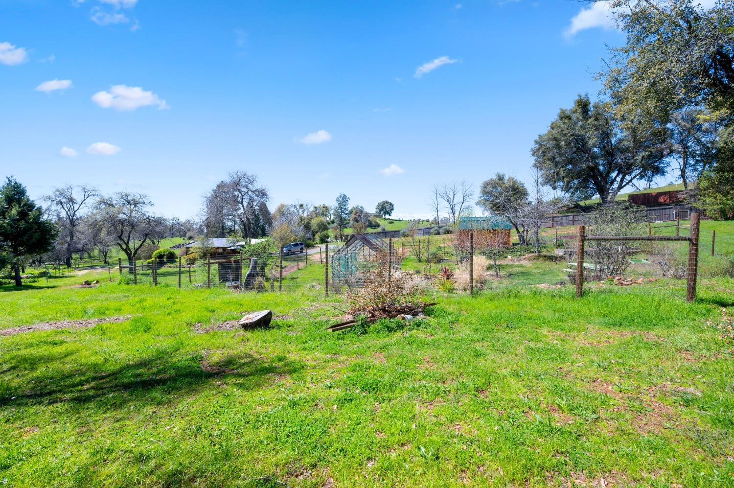 Flat Gulch Road, Mokelumne Hill, California image 16