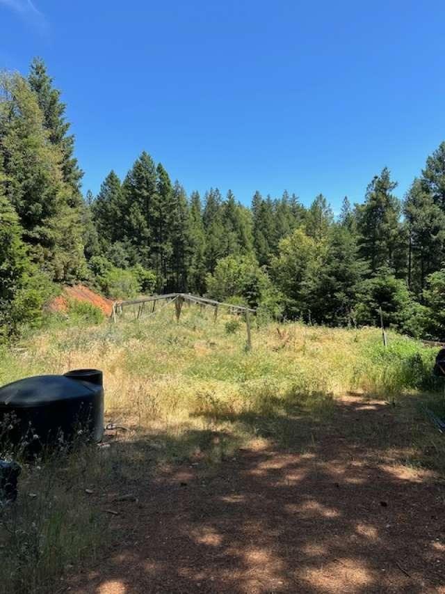 Detail Gallery Image 11 of 19 For 19707 Grizzly Creek Rd, Nevada City,  CA 95959 - – Beds | – Baths