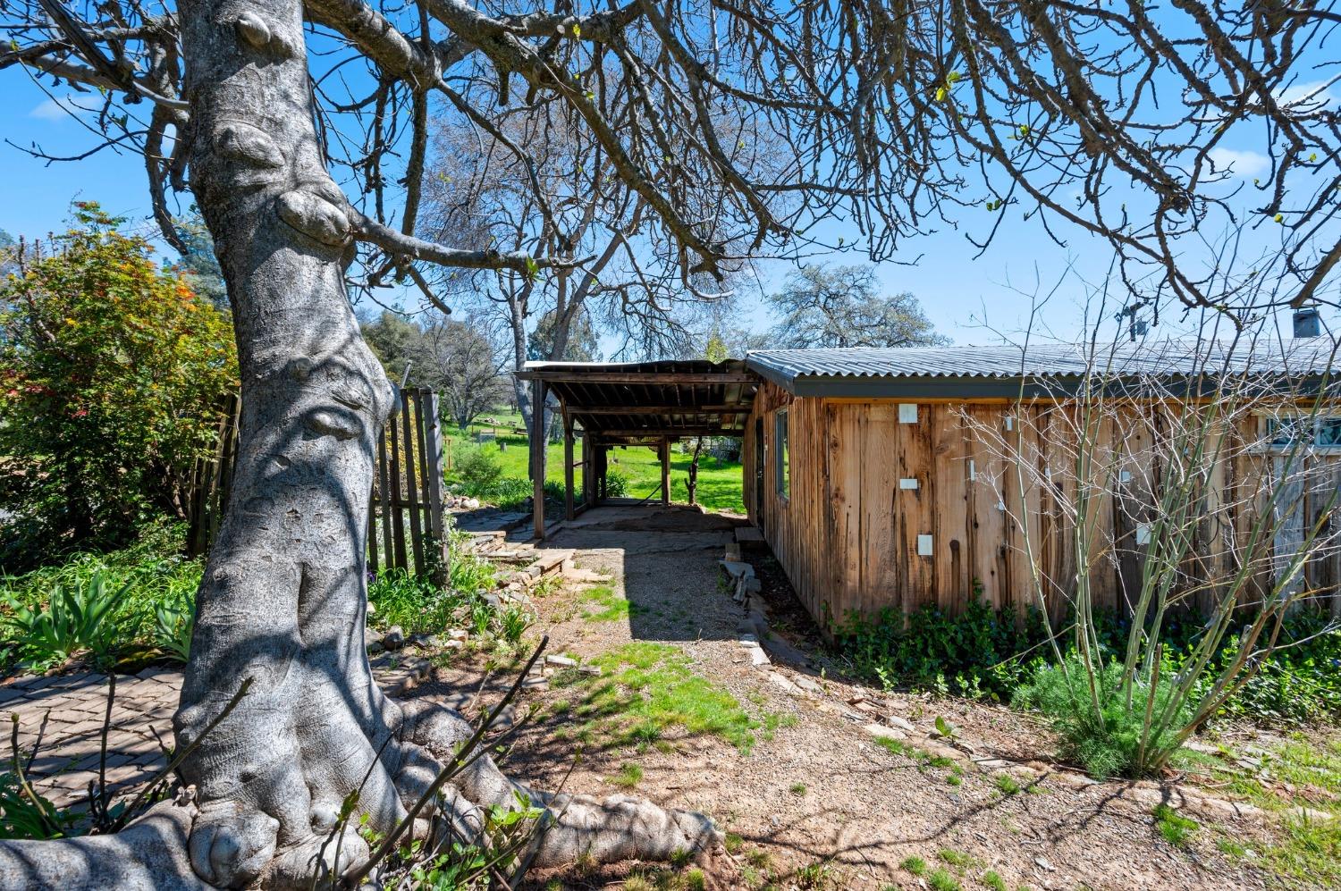 Flat Gulch Road, Mokelumne Hill, California image 3