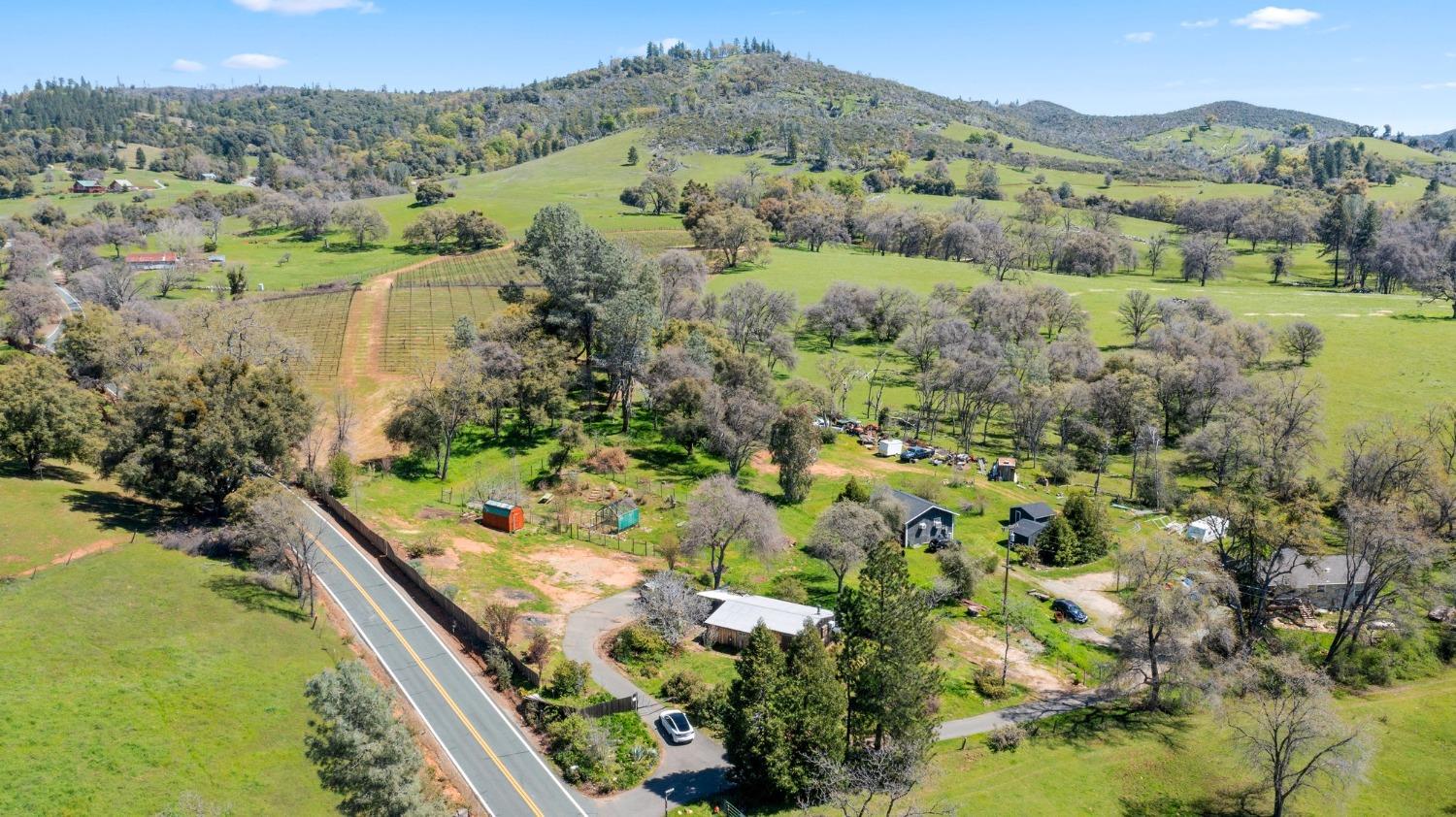 Flat Gulch Road, Mokelumne Hill, California image 7