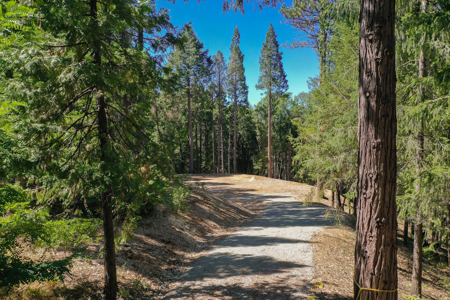 Detail Gallery Image 1 of 11 For 14321 Dorcelline Ct, Nevada City,  CA 95959 - – Beds | – Baths