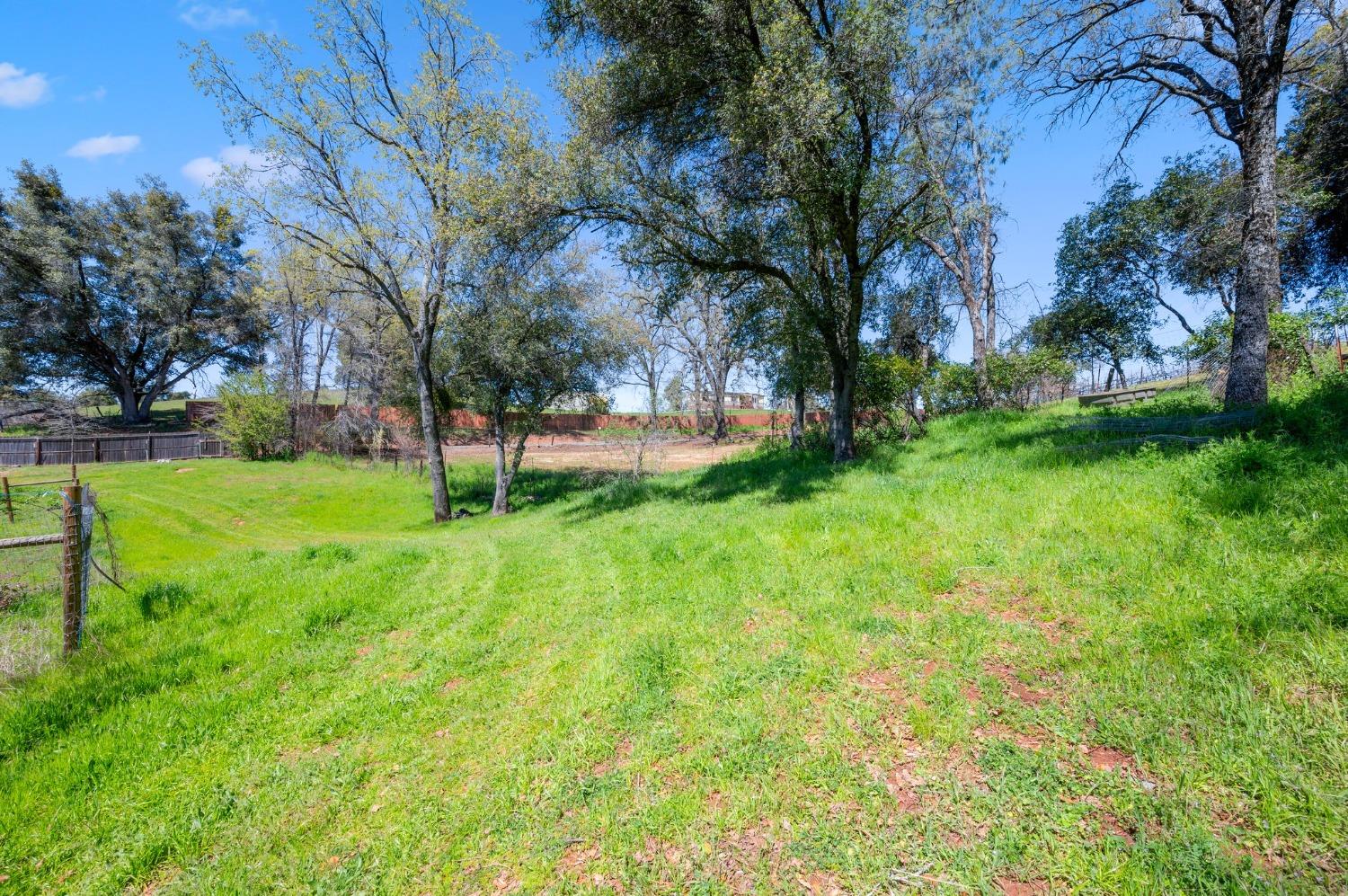 Flat Gulch Road, Mokelumne Hill, California image 15