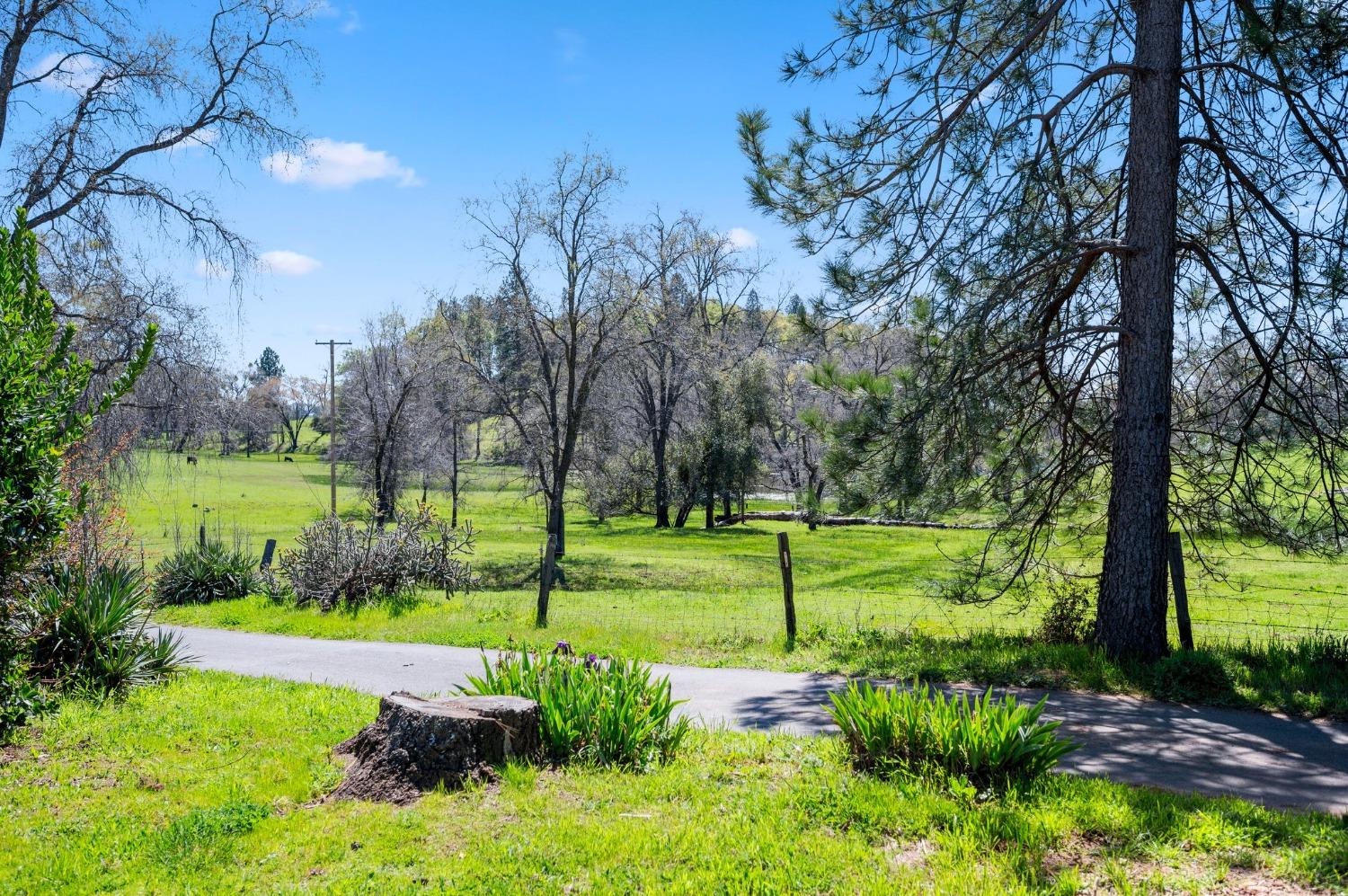 Flat Gulch Road, Mokelumne Hill, California image 32