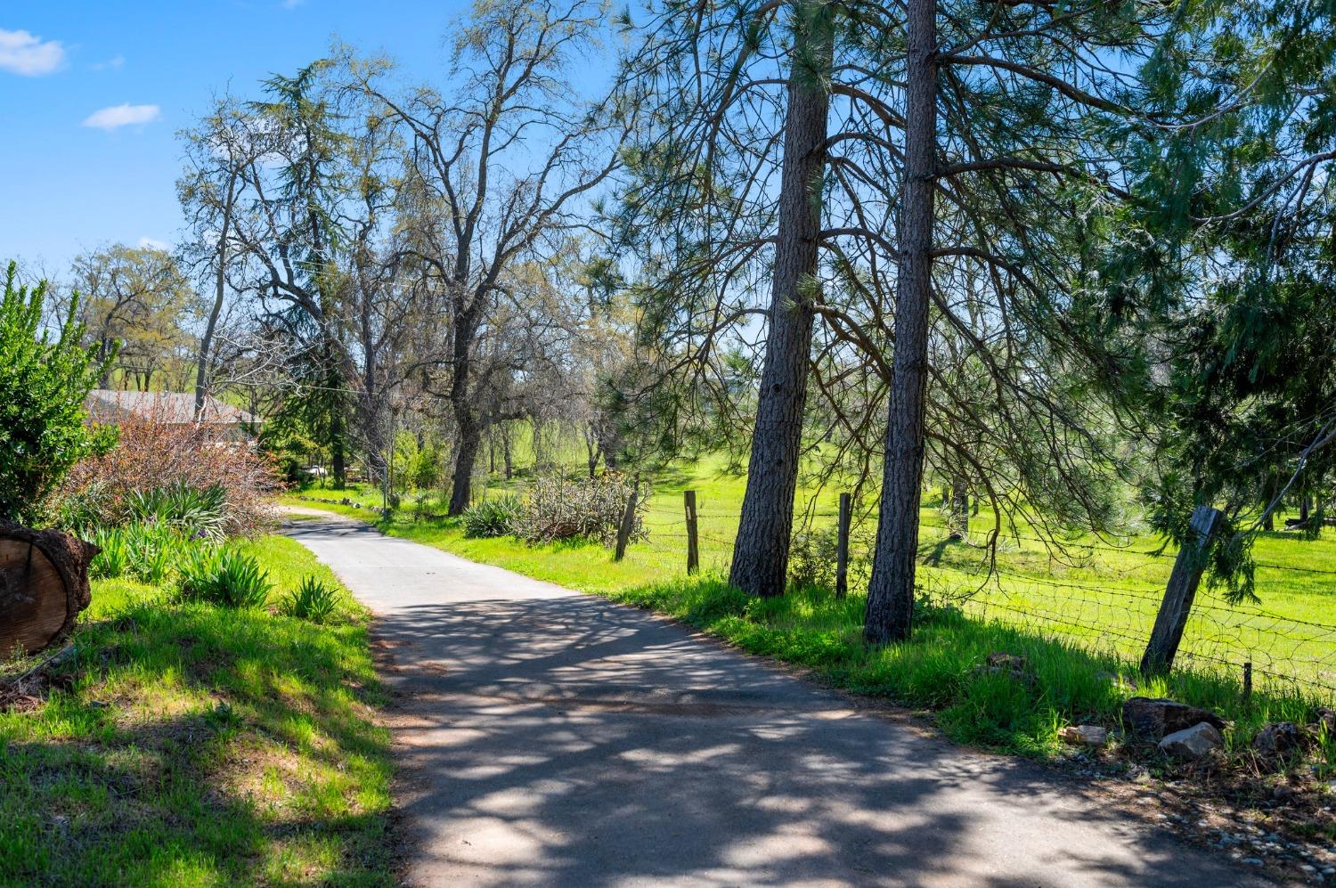 Flat Gulch Road, Mokelumne Hill, California image 34