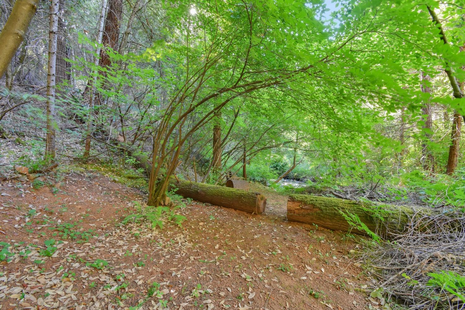 Sleepy Hollow Trail, Brownsville, California image 6