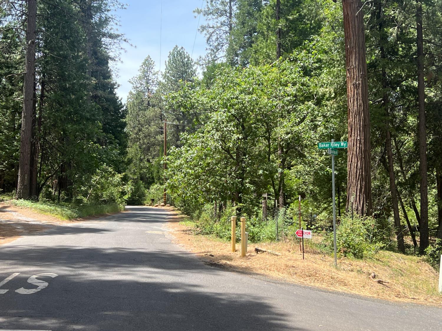 Sequoia Road, Mokelumne Hill, California image 4