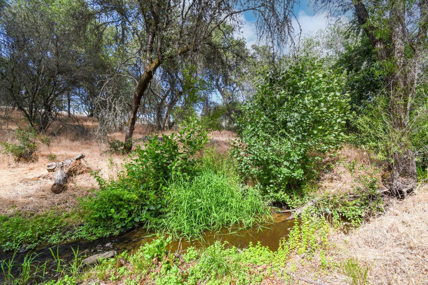 Detail Gallery Image 72 of 97 For 12450 Lambert Rd, Marysville,  CA 95901 - 2 Beds | 2 Baths