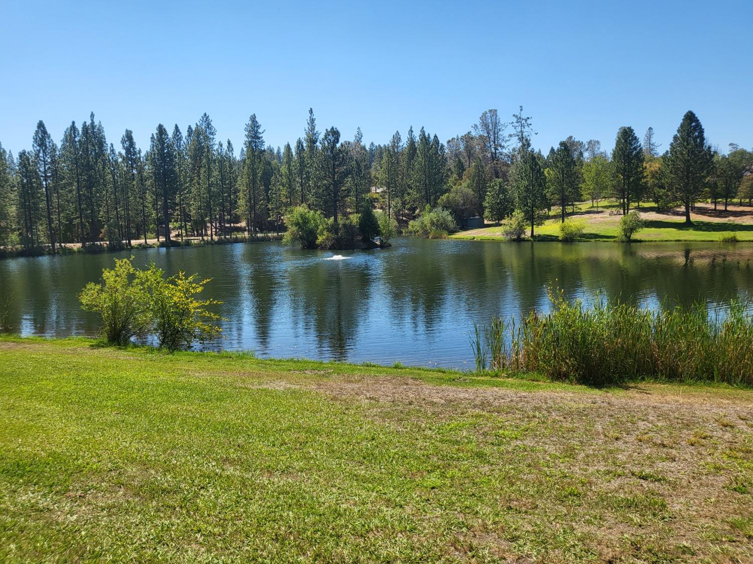 Detail Gallery Image 6 of 15 For 12506 Discovery Way, Nevada City,  CA 95959 - – Beds | – Baths