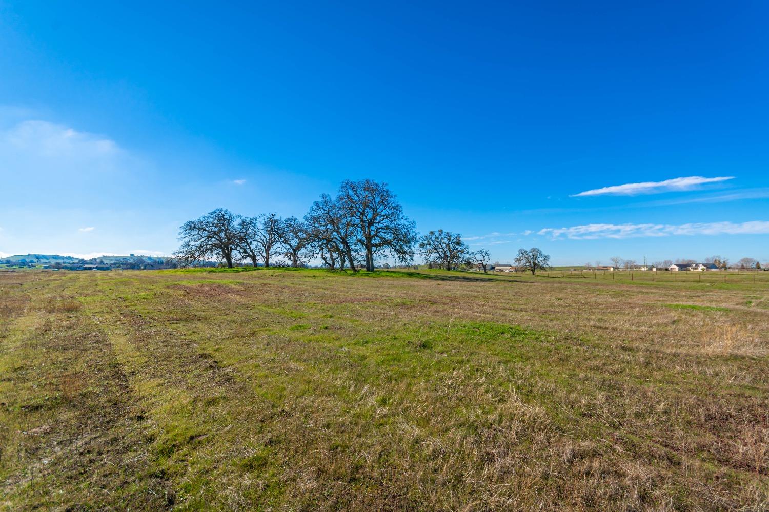 Duck Creek Road, Ione, California image 5