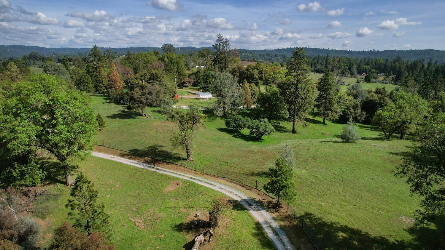 Screech Owl Lane, Somerset, California image 5