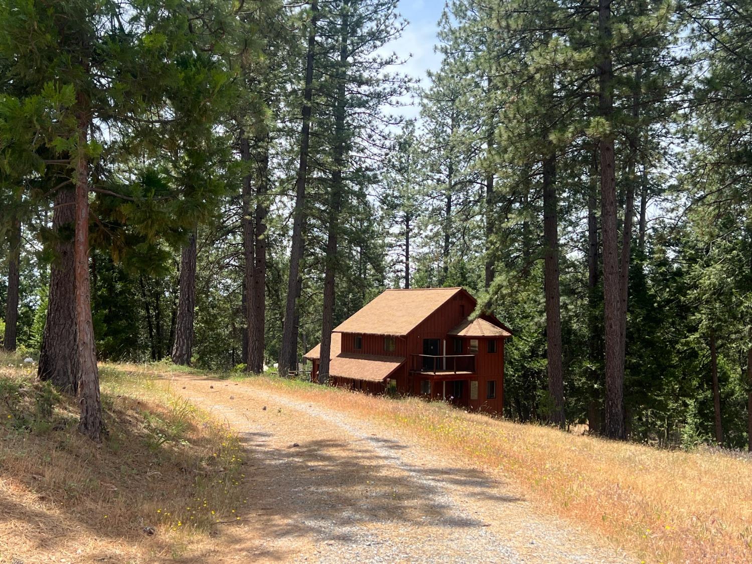 Sequoia Road, Mokelumne Hill, California image 11