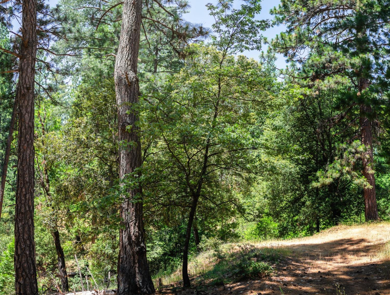 Detail Gallery Image 1 of 7 For 0 Cedarwood Ln, Placerville,  CA 95667 - – Beds | – Baths