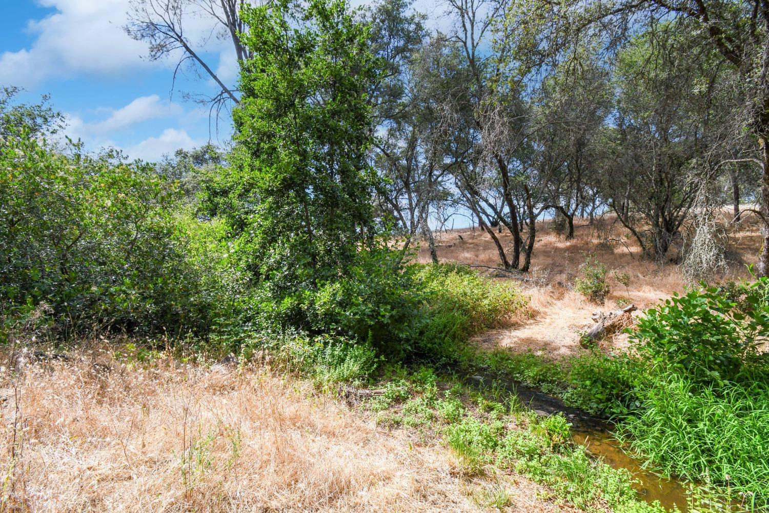 Detail Gallery Image 71 of 97 For 12450 Lambert Rd, Marysville,  CA 95901 - 2 Beds | 2 Baths