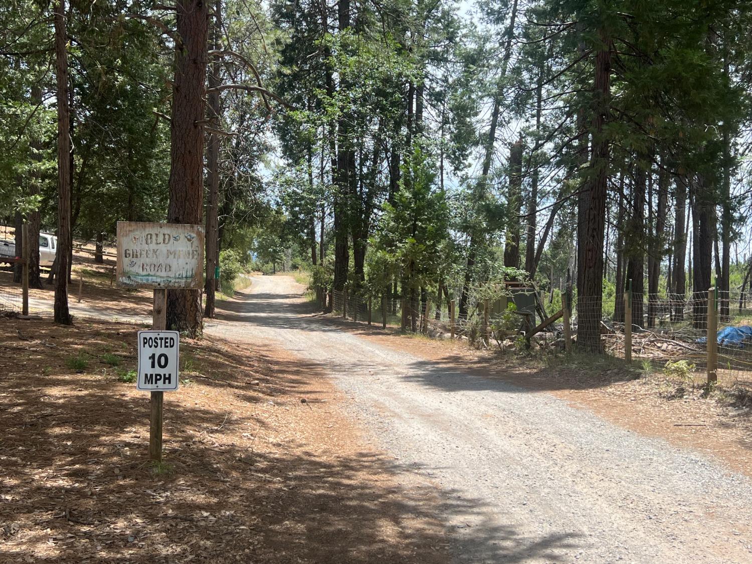 Sequoia Road, Mokelumne Hill, California image 6