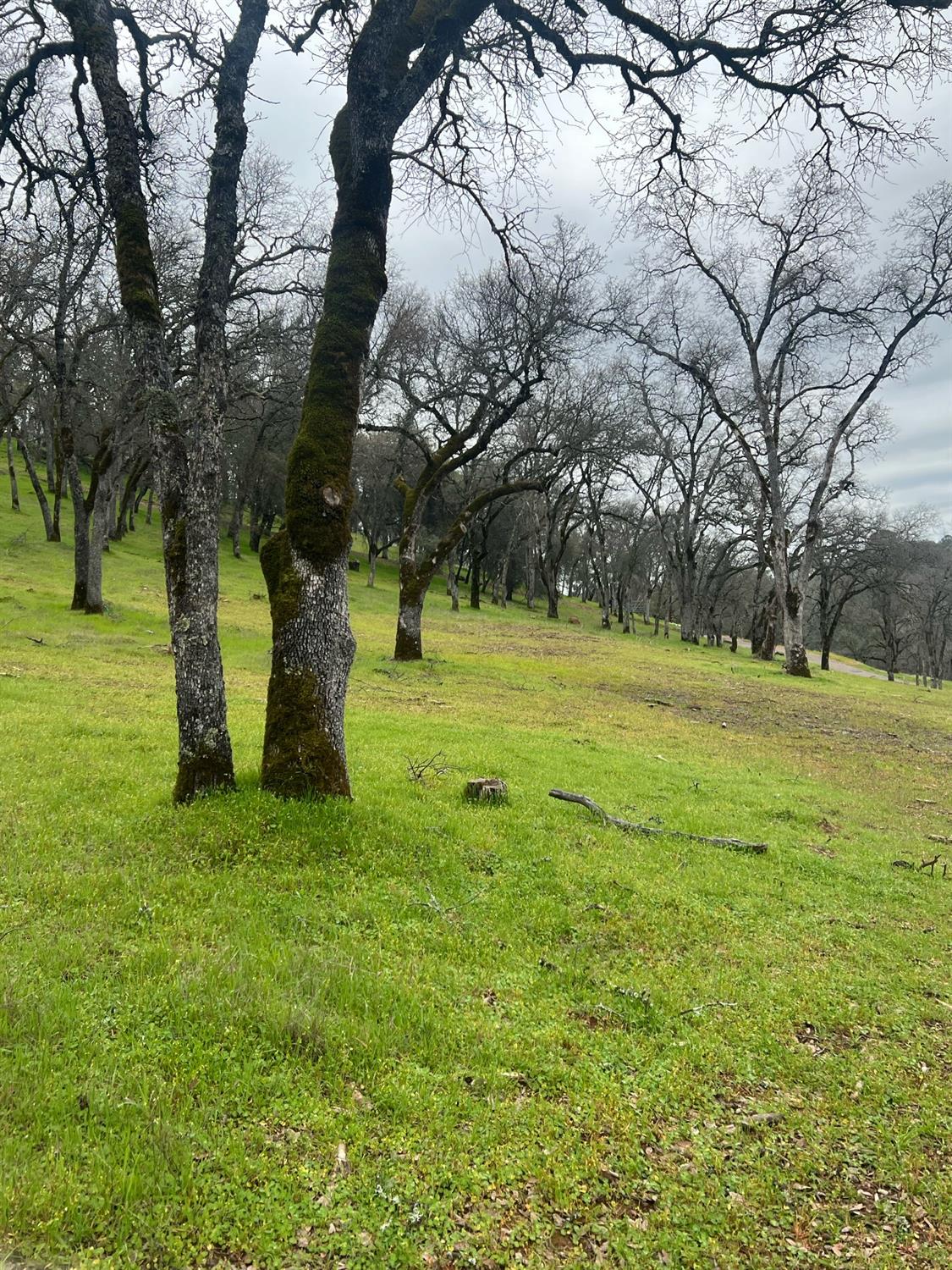 Solitude Way, Shingle Springs, California image 2