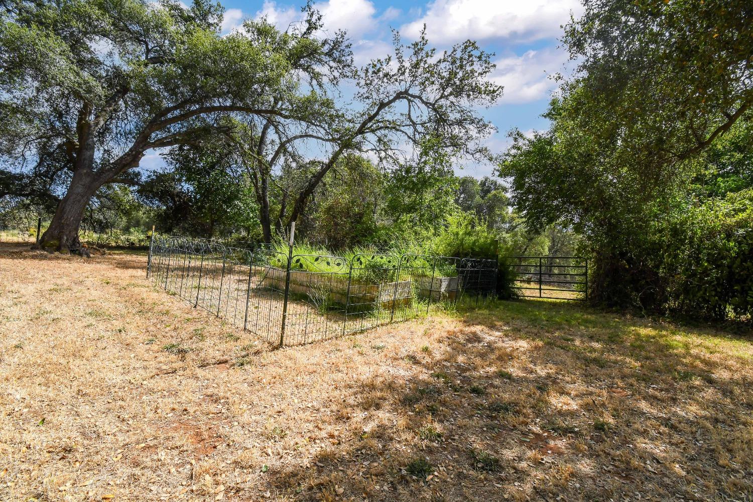 Detail Gallery Image 54 of 97 For 12450 Lambert Rd, Marysville,  CA 95901 - 2 Beds | 2 Baths