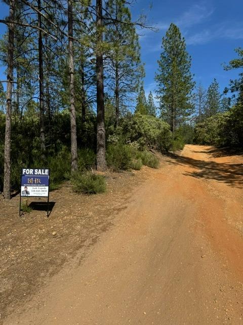 Detail Gallery Image 1 of 8 For 16841 Patterson Mine Rd, Nevada City,  CA 95959 - – Beds | – Baths