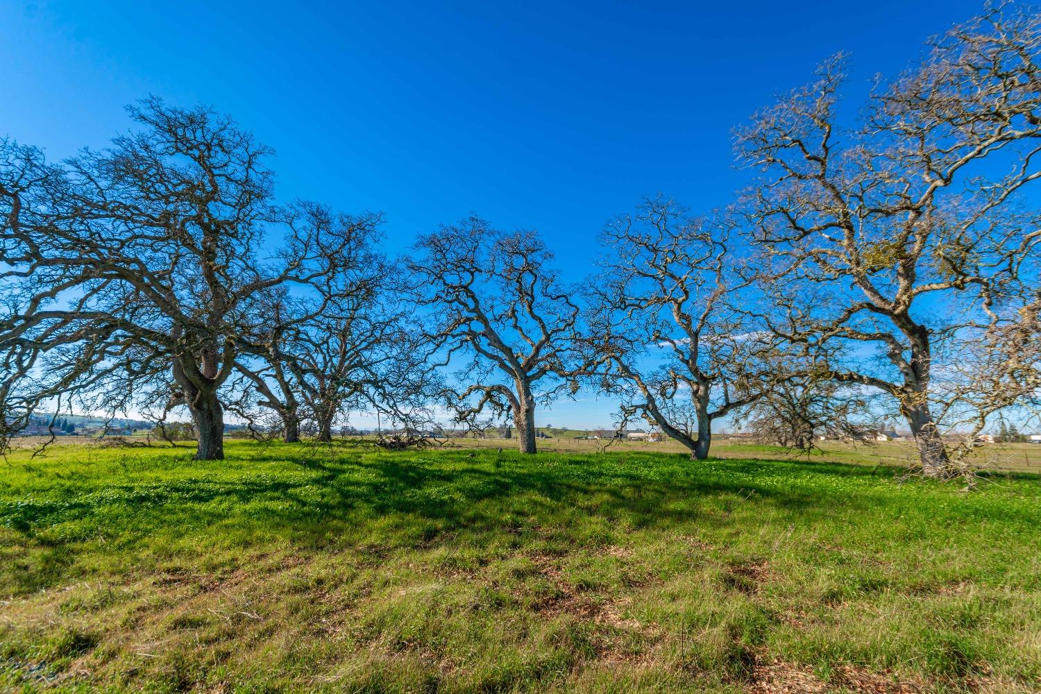 Duck Creek Road, Ione, California image 6