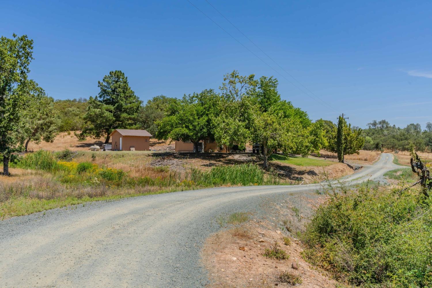 Detail Gallery Image 42 of 43 For 3501 Buena Vista Road, Ione,  CA 95640 - 3 Beds | 2 Baths