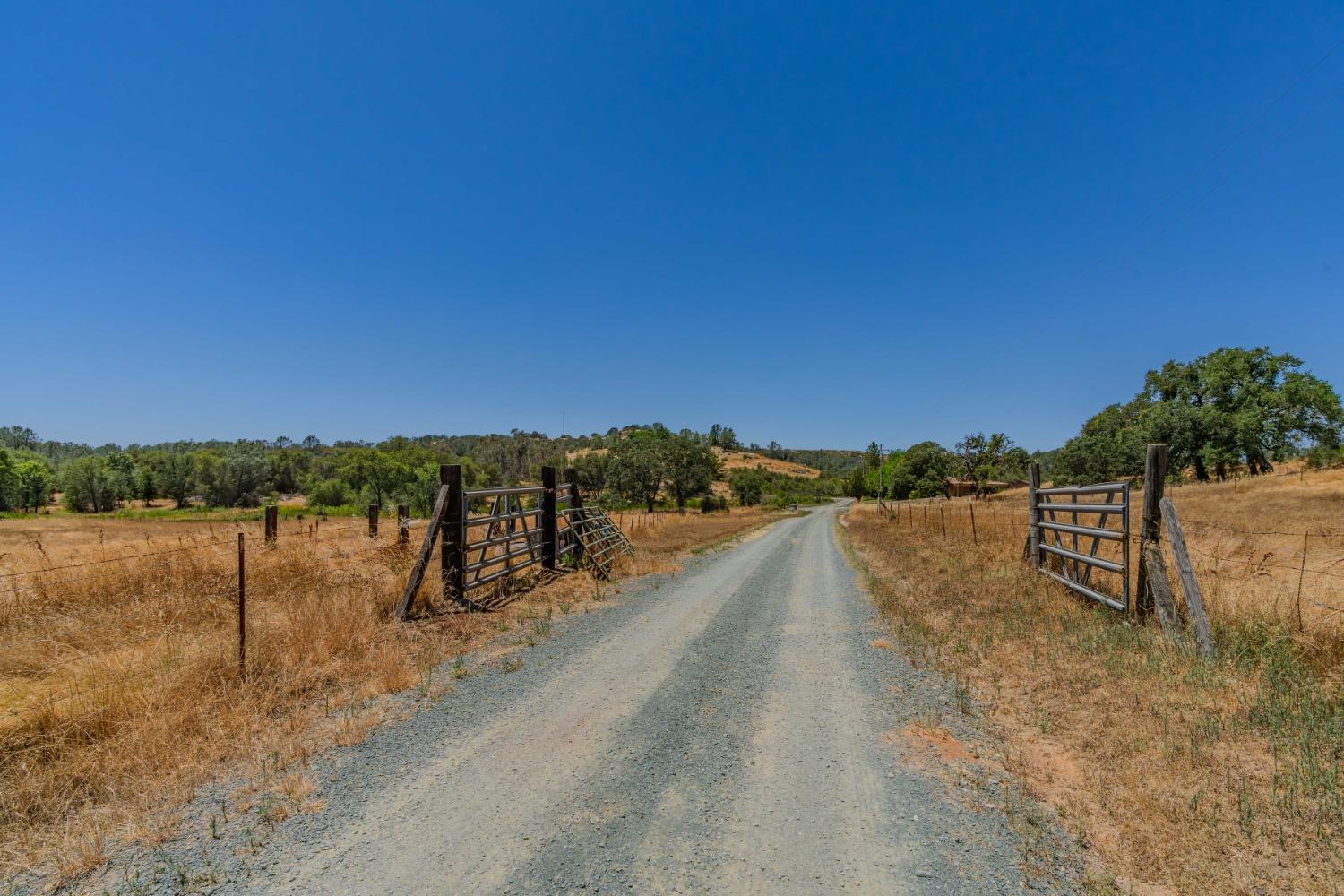 4051 Buena Vista Road, Ione, California image 11