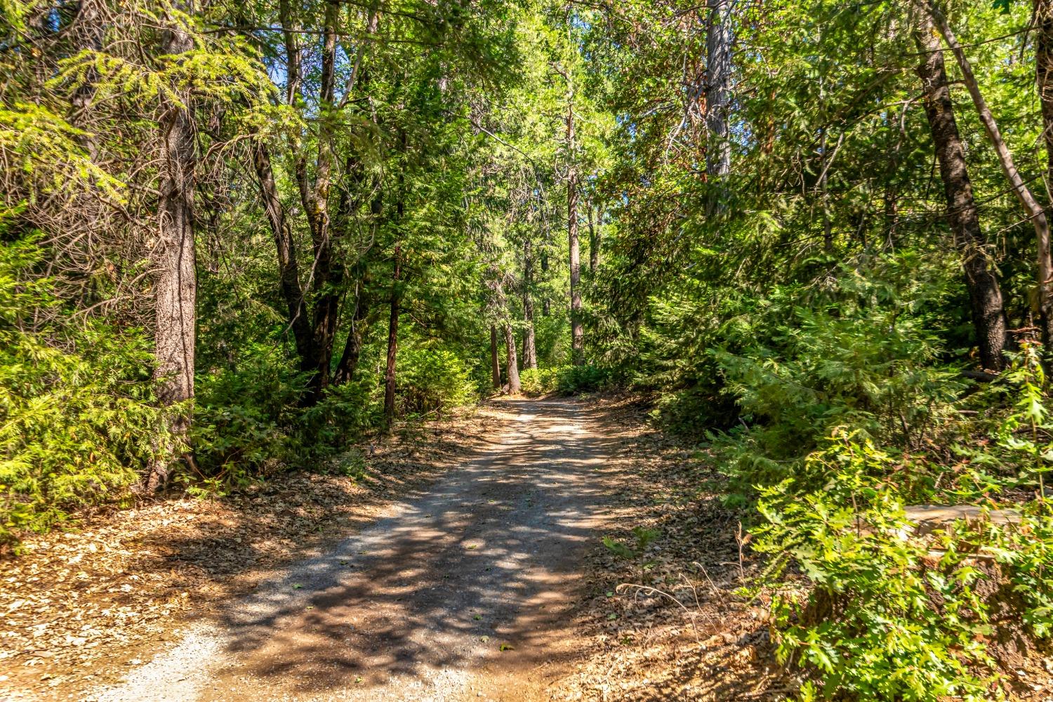 Crystal View Lane, Foresthill, California image 12