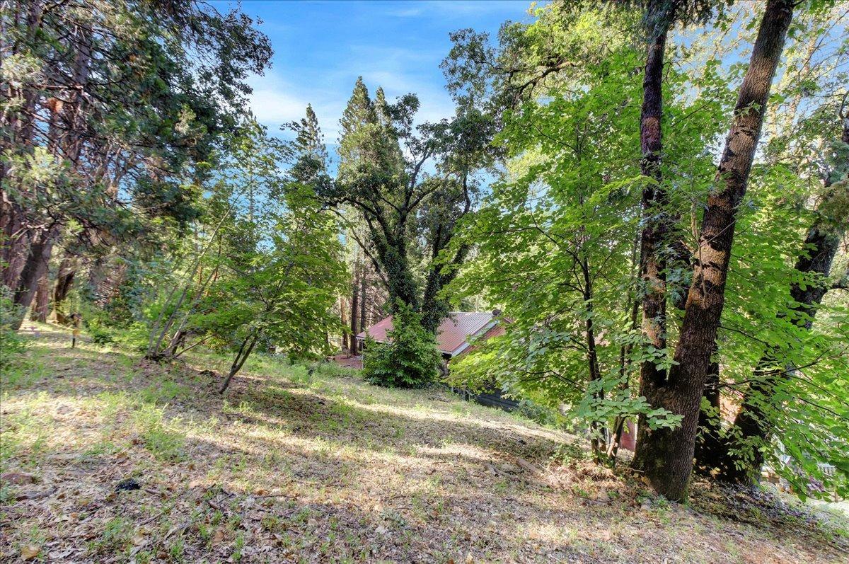 Detail Gallery Image 56 of 71 For 13874 Greenhorn Rd, Grass Valley,  CA 95945 - 2 Beds | 2/1 Baths