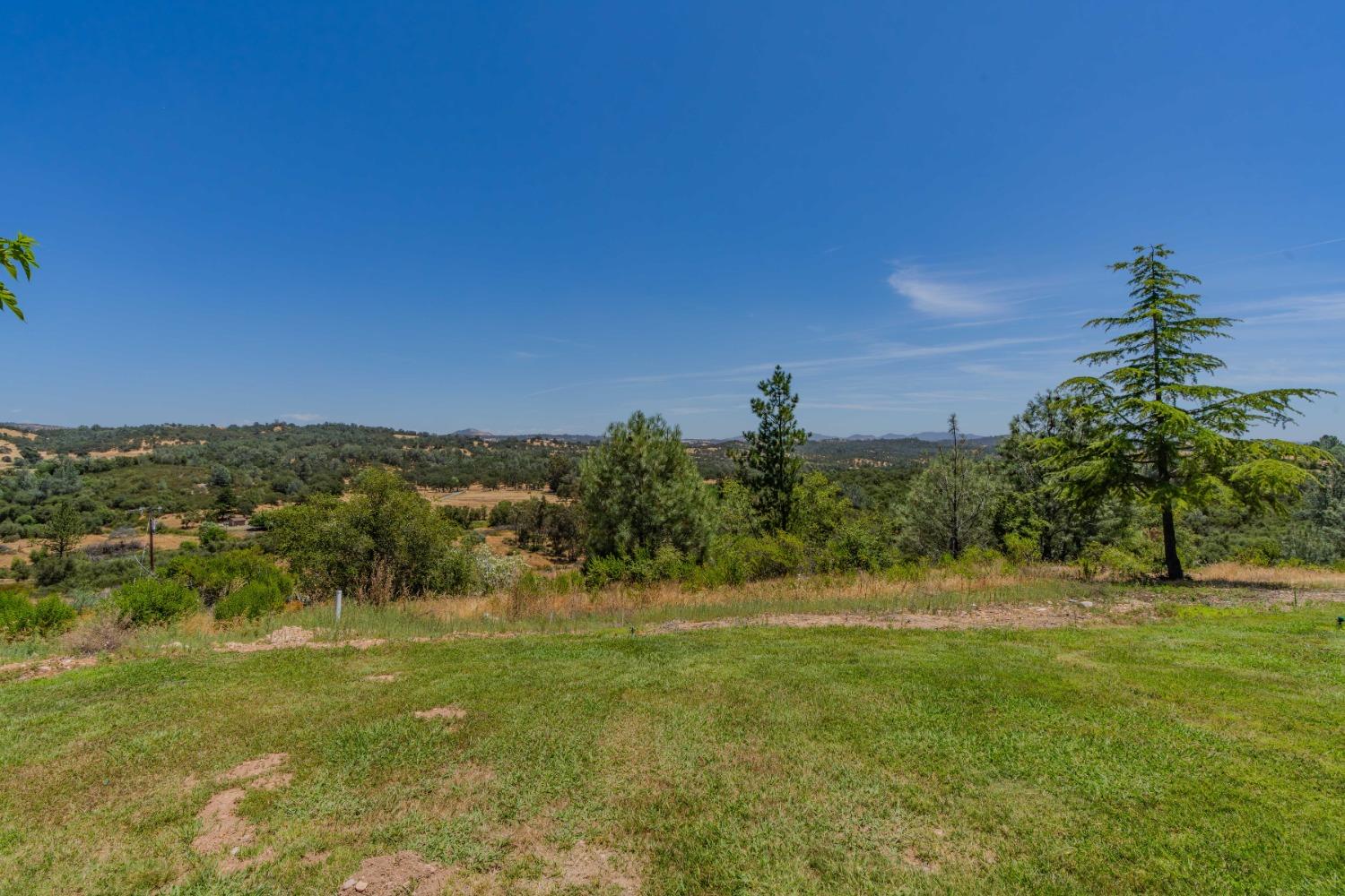 Detail Gallery Image 18 of 43 For 3501 Buena Vista Road, Ione,  CA 95640 - 3 Beds | 2 Baths